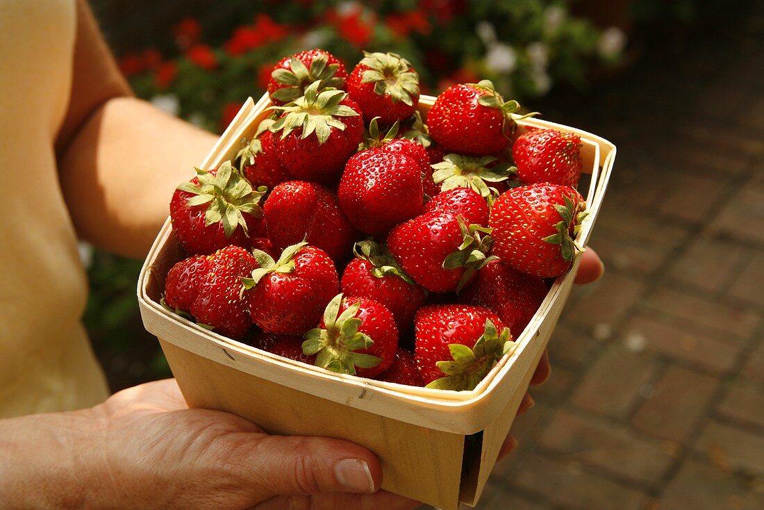 Frau hält Spankorb mit frischen Erdbeeren