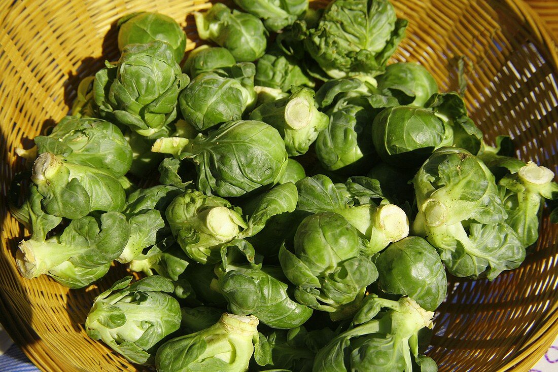 Bio-Rosenkohl im Korb auf dem Markt