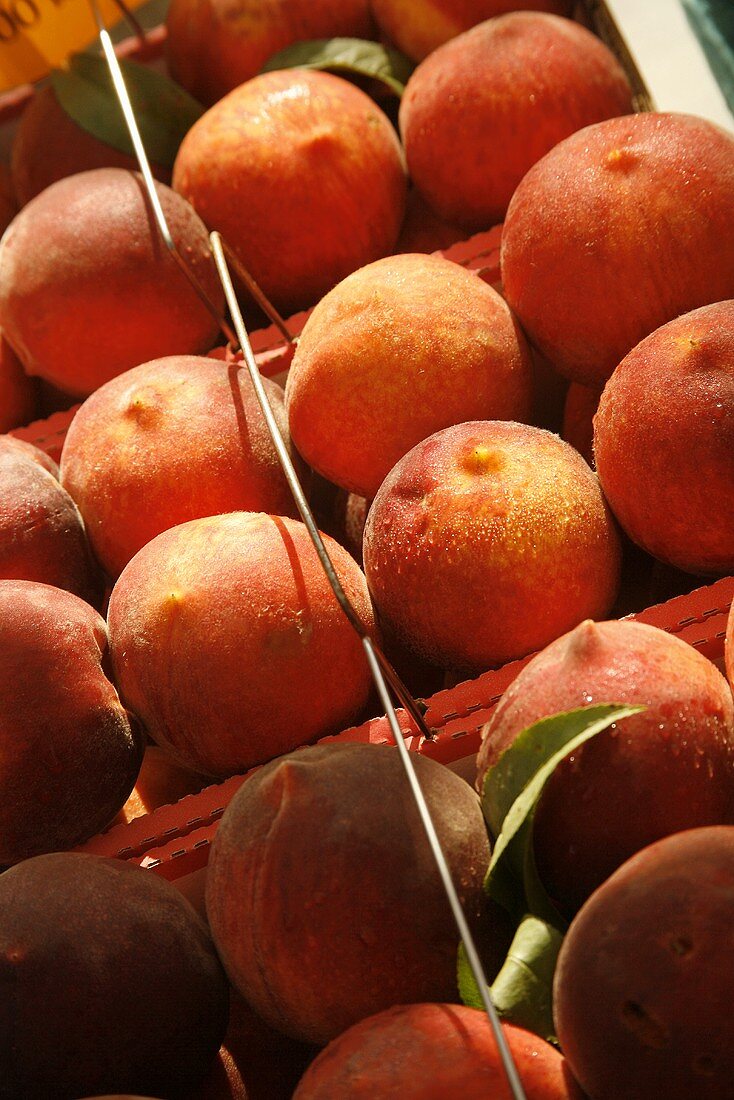 Frische Pfirsiche in Körben auf dem Markt