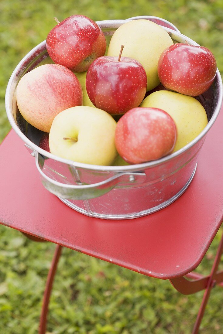 Frische Äpfel in Metallschüssel auf Gartentisch