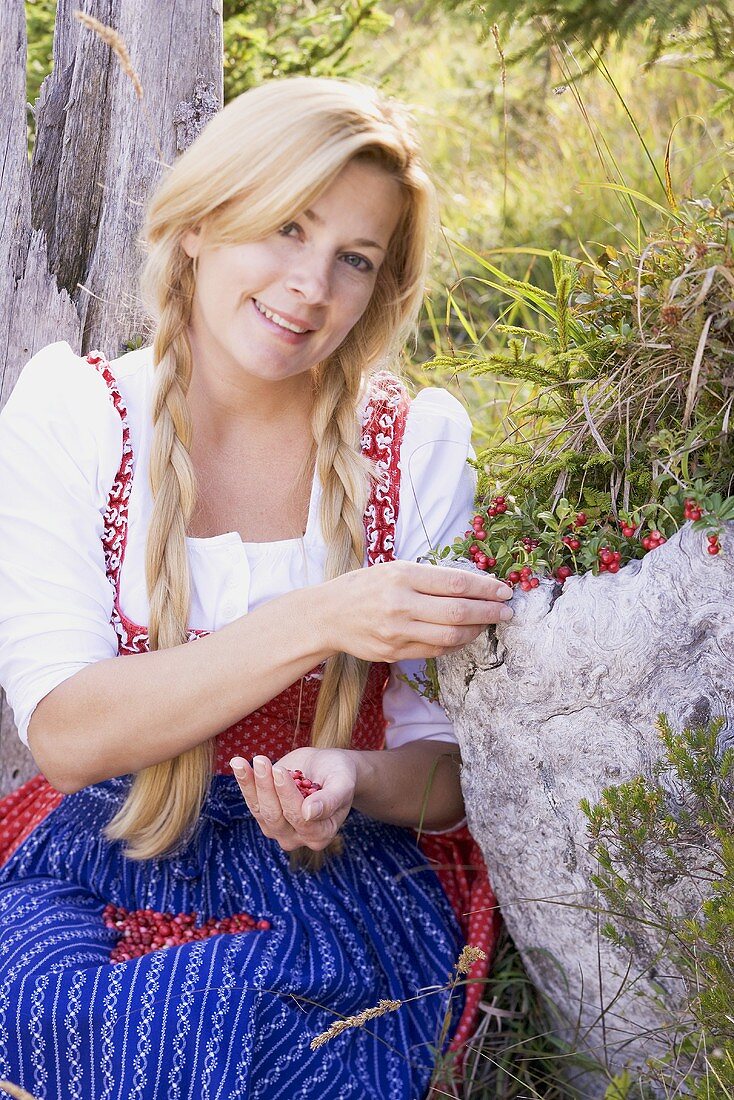 A woman in a dirndl picking lingonberries in a forest