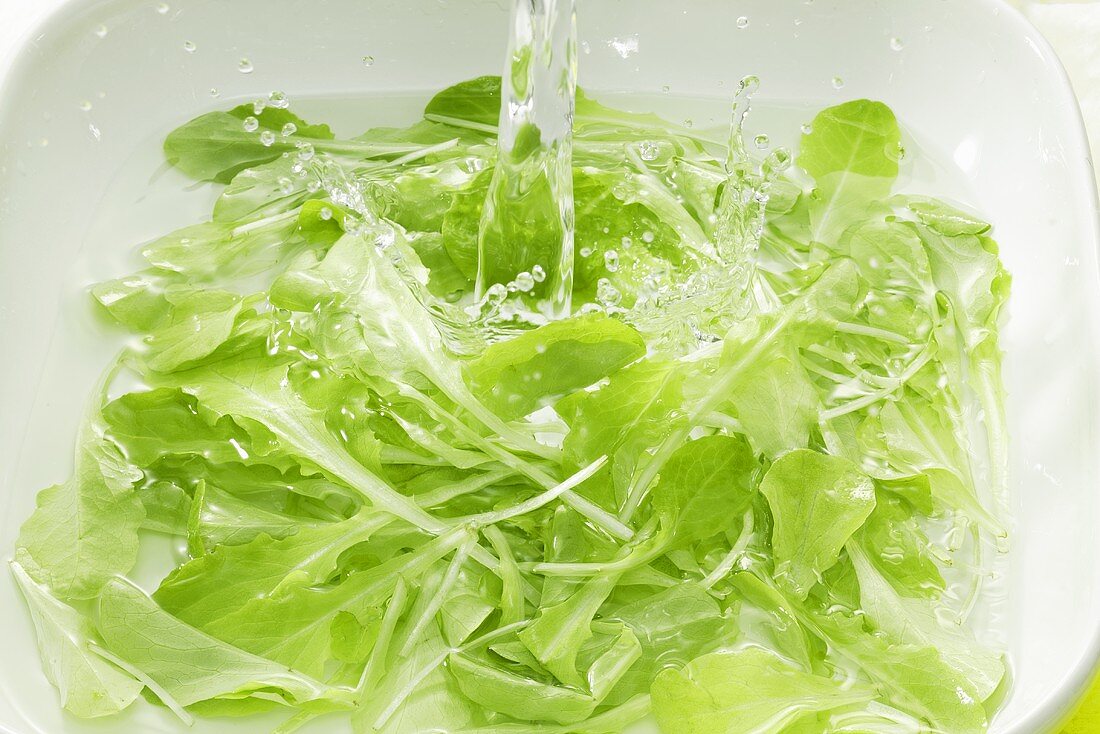 Green salad in water