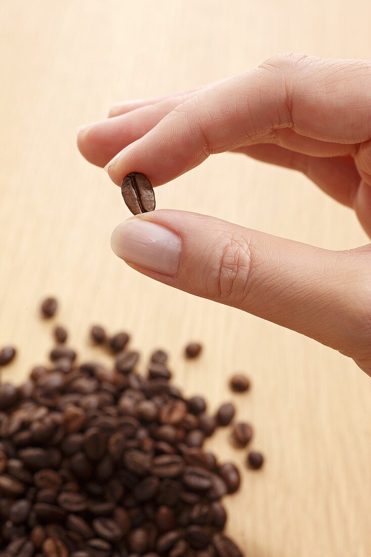 Hand hält eine Kaffeebohne