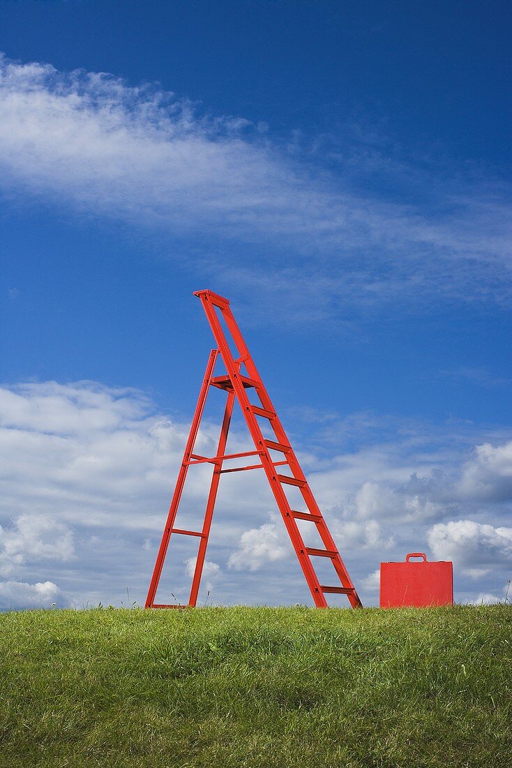 Red ladder and red case on green grass