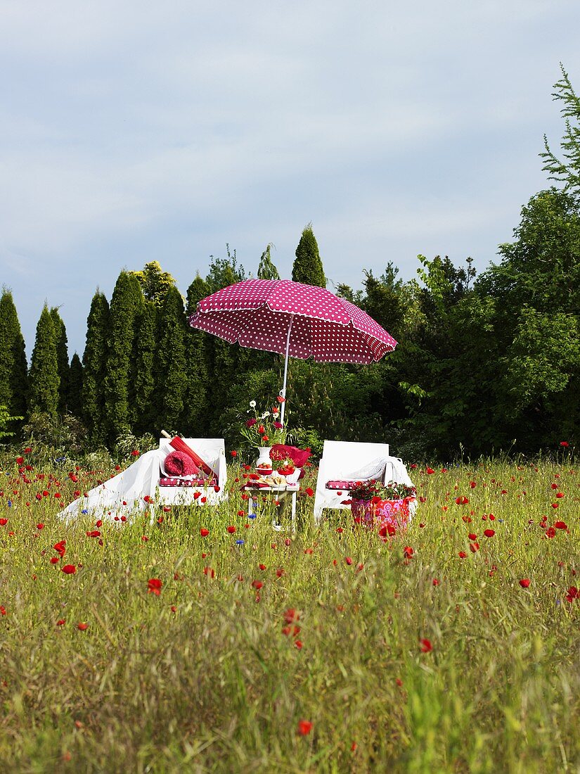 Klatschmohnwiese mit Stühlen und Sonnenschirm