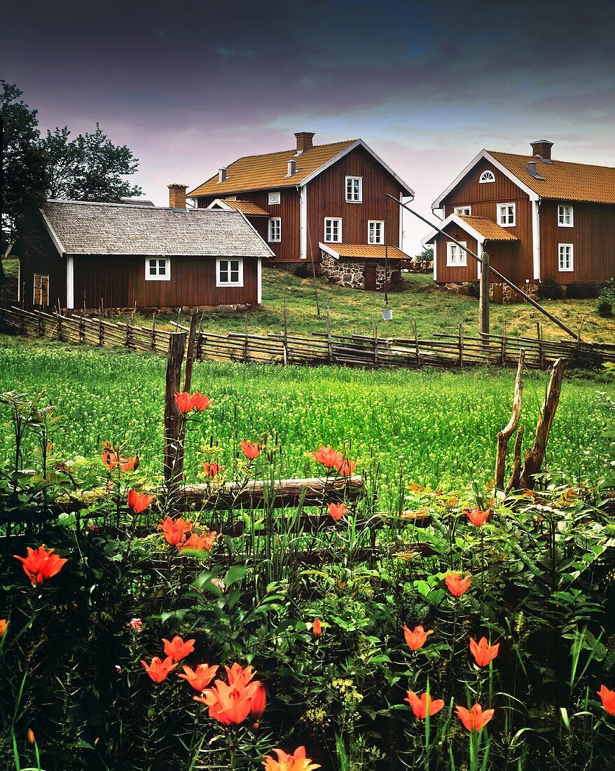 Skandinavisches Dorf mit Blumen im Vordergrund