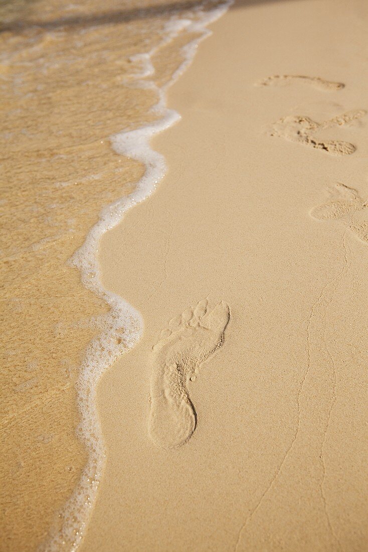 Foot prints in the sand