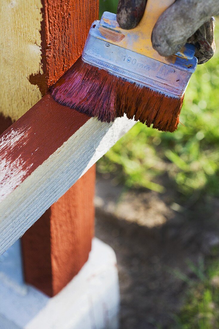 Painting a fence