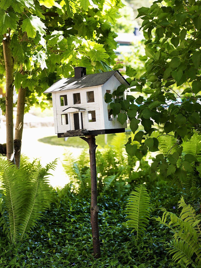 Bird house in the garden