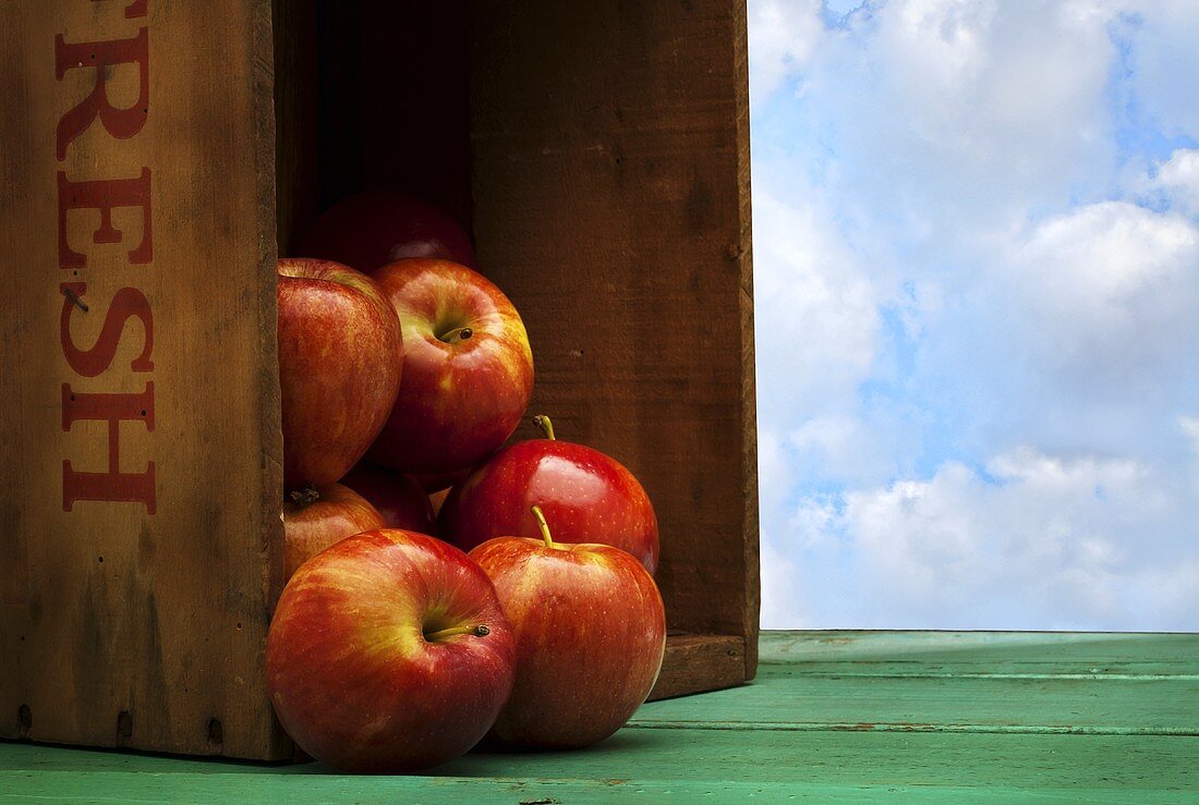 Frische Äpfel fallen aus einer Kiste