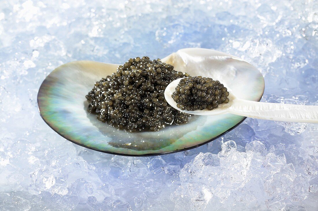 Schwarzer Kaviar in Muschelschale und auf Perlmuttlöffel