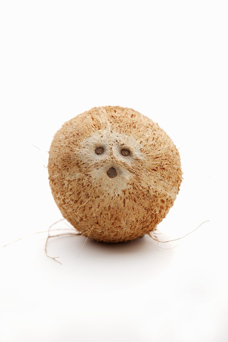 Coconut Face