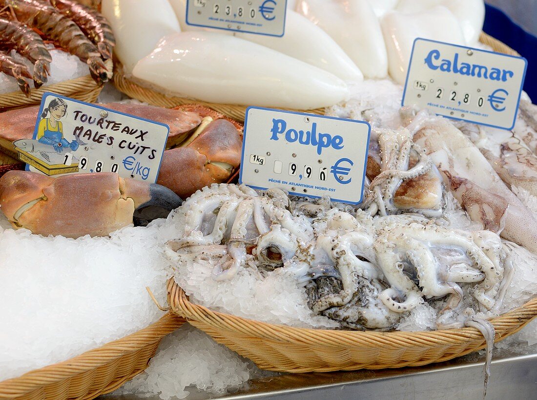Fresh squid at the market