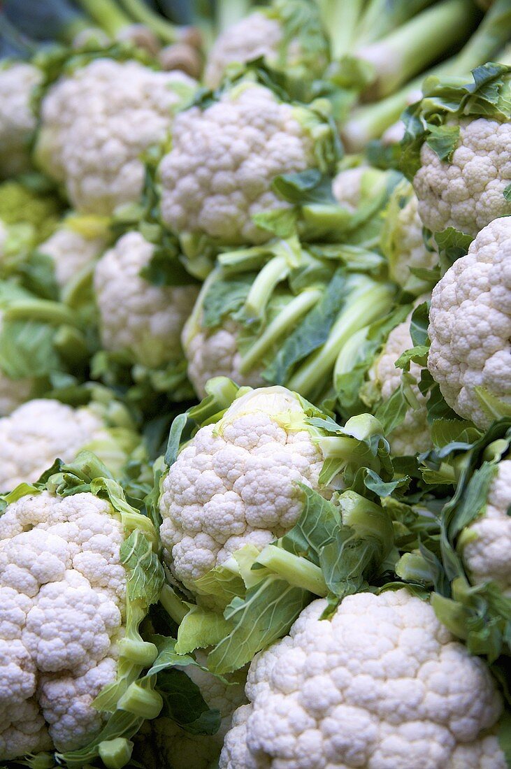 Blumenkohl auf dem Markt