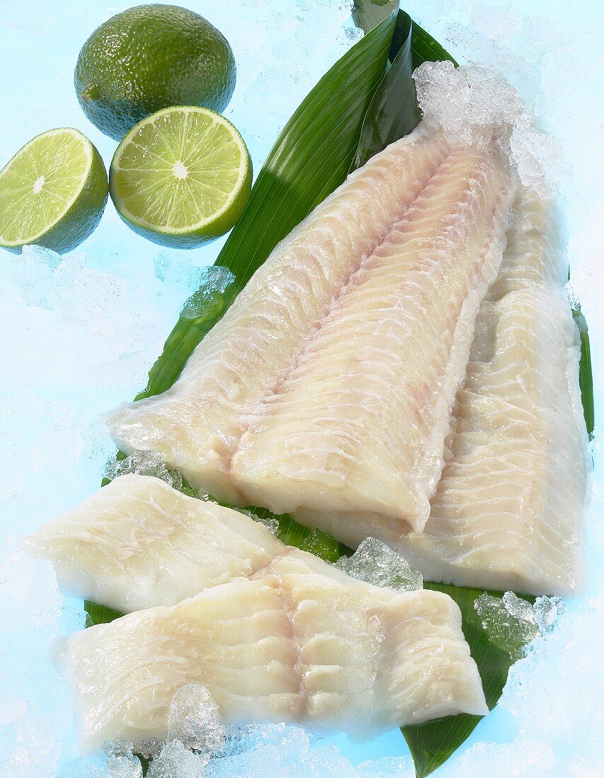 Fresh Wolffish fillets