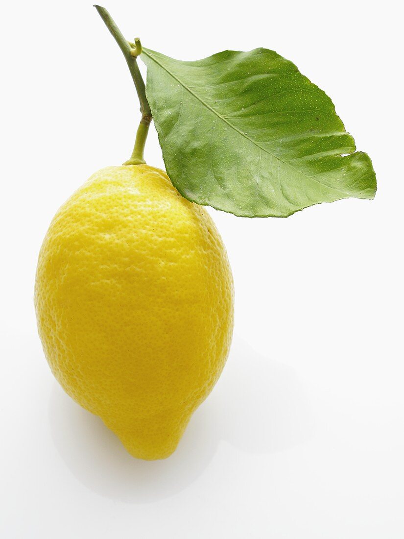 A lemon with leaf