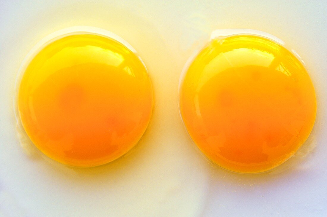 Two egg yolks, seen from above