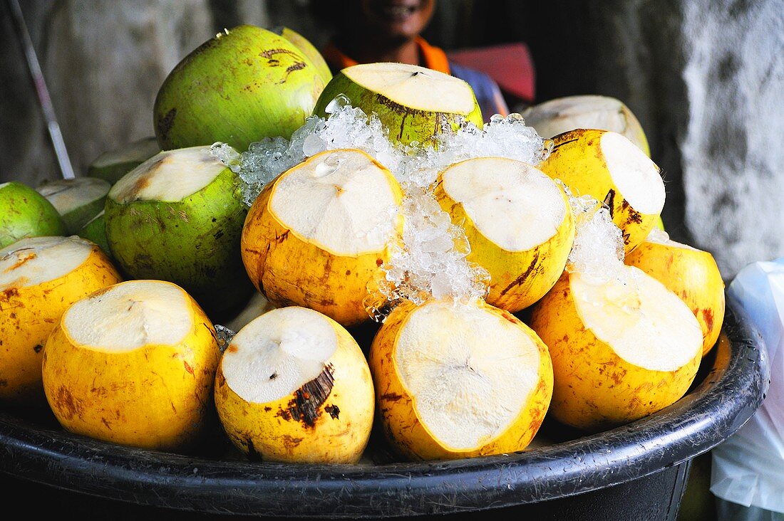 Trinkfertige junge Kokosnüsse auf Eis