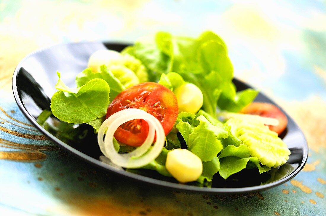 Gemischter Blattsalat mit Gemüse