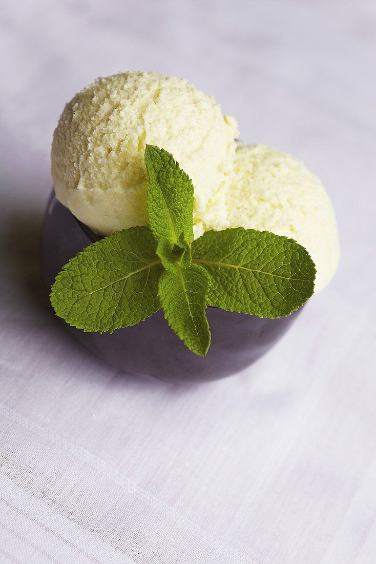 Fresh Mint Ice Cream Recipe / Fresh Vanilla Mint Ice Cream A Beautiful Plate : Maybe you would like to learn more about one of these?