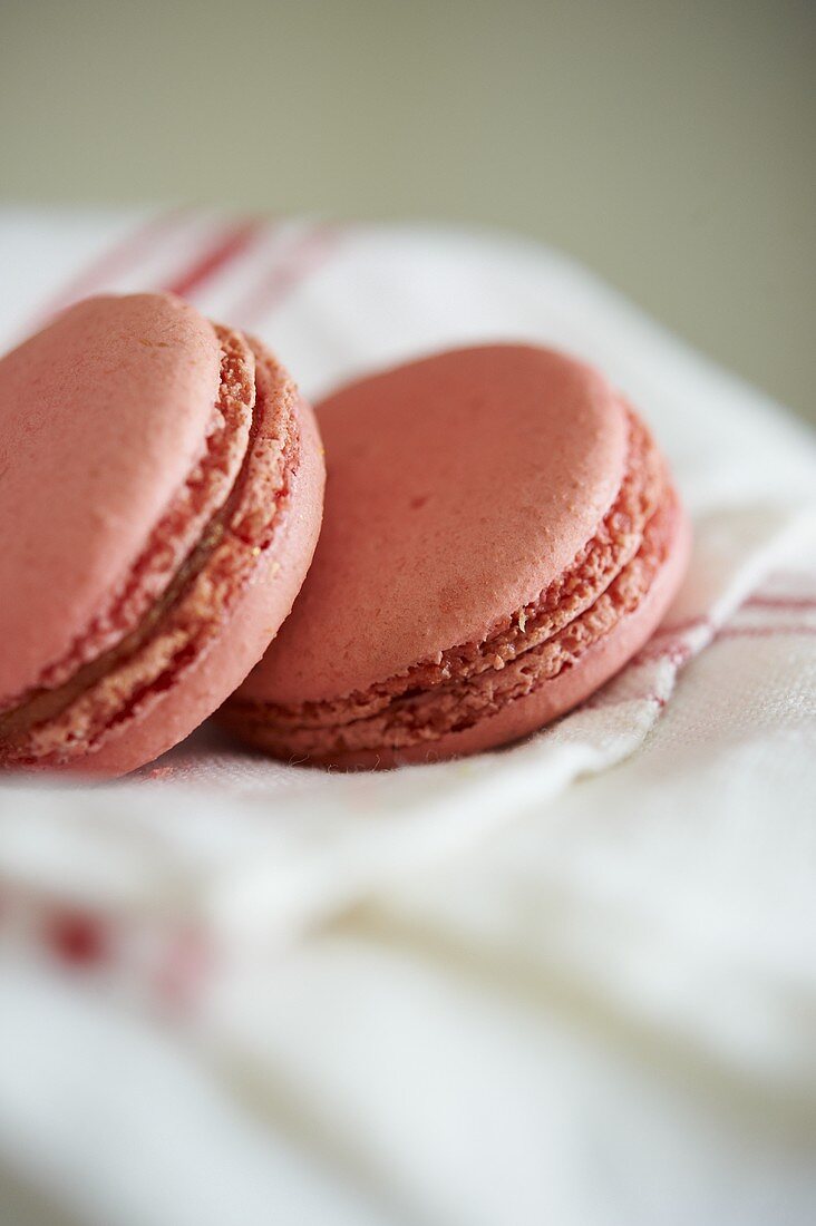 Two Pink Macaroons on a Dish Towel