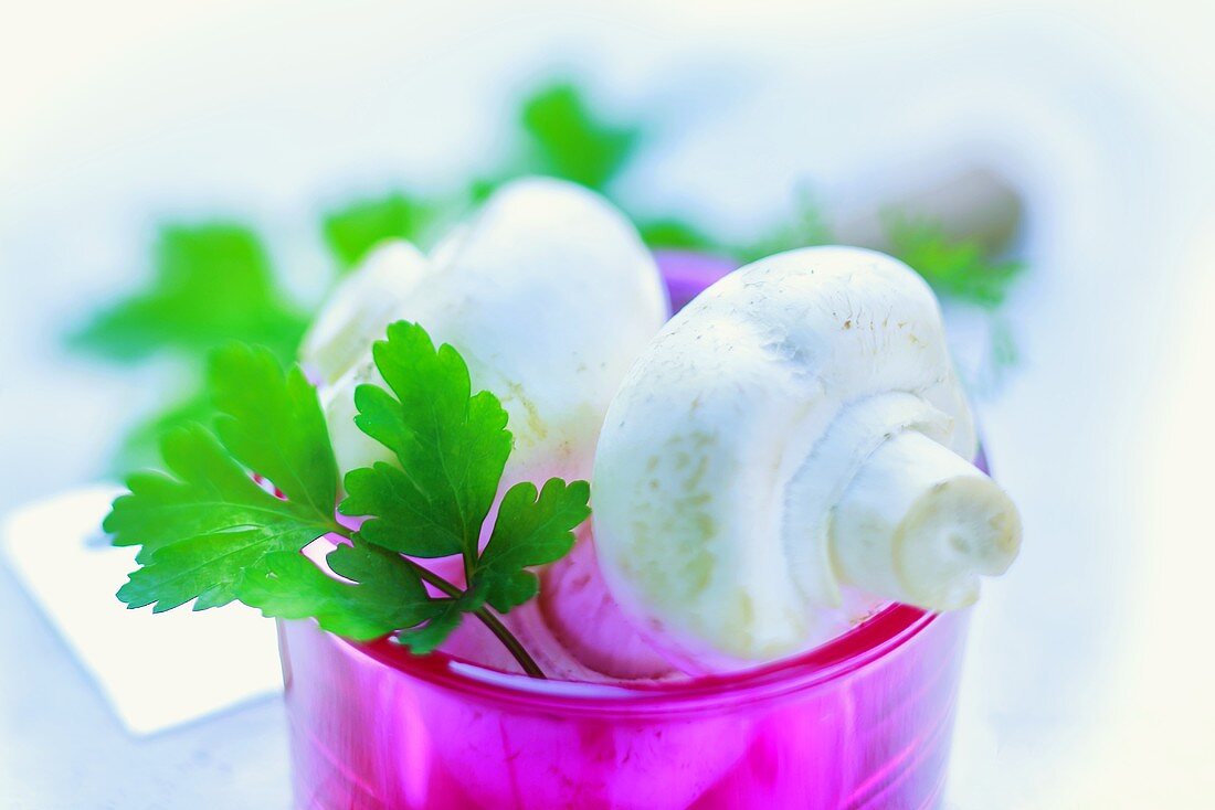 Fresh mushrooms and parsley in a pink glass