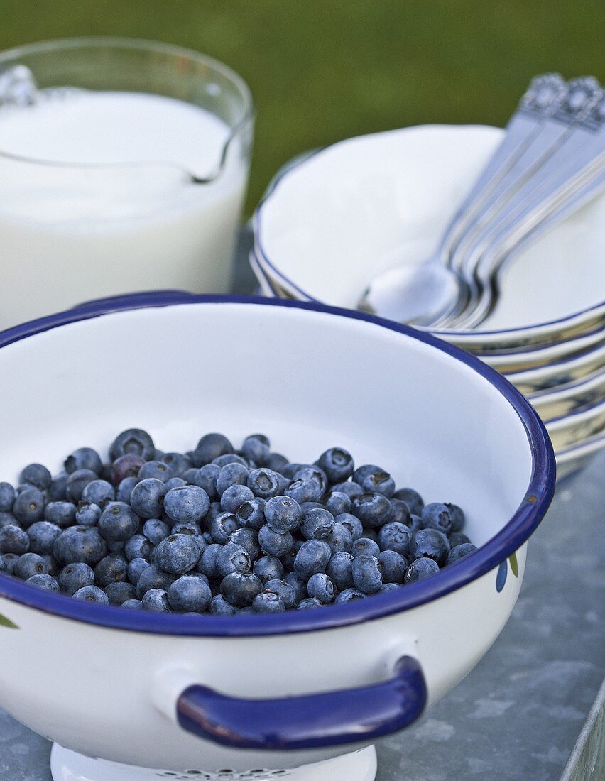 A bowl of blueberries, a jug of milk and dessert on the table