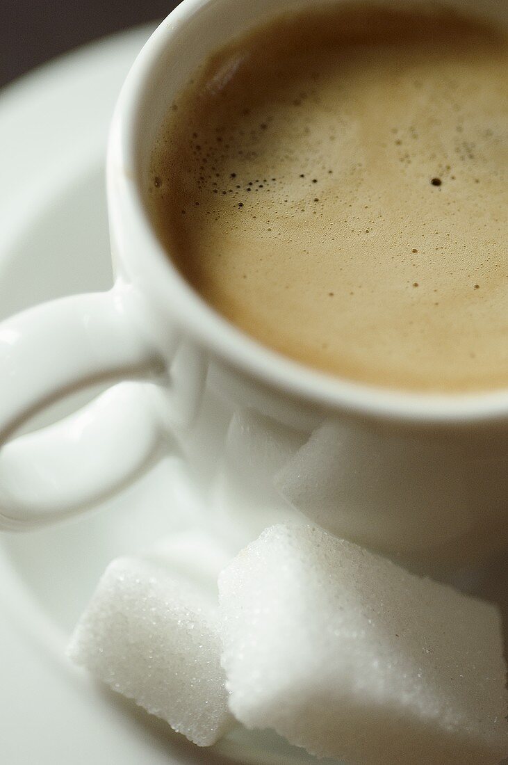 Espresso in einer weissen Tasse mit Zuckerwürfeln