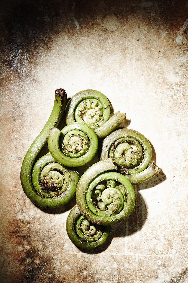 Fiddleheads