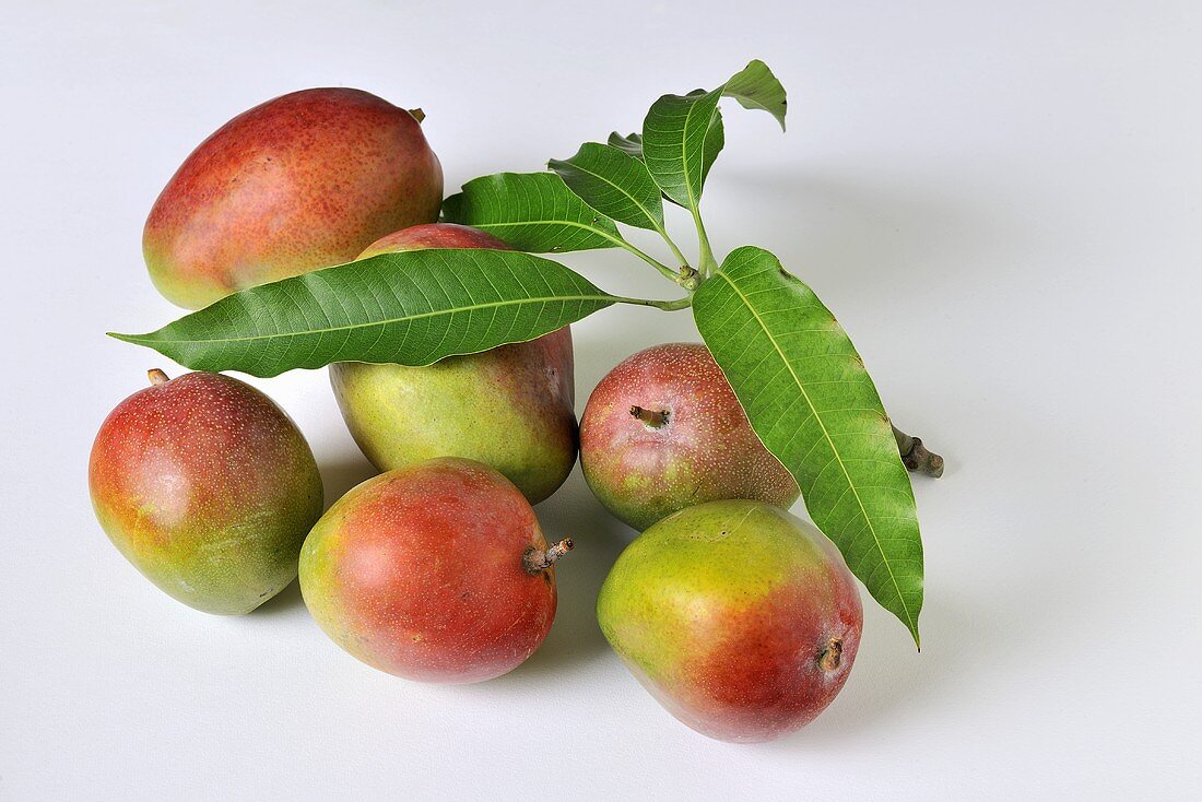 Mehrere Mangos mit Blättern