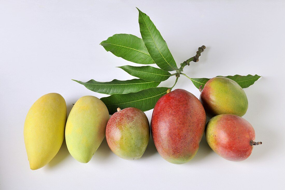 Various mangos