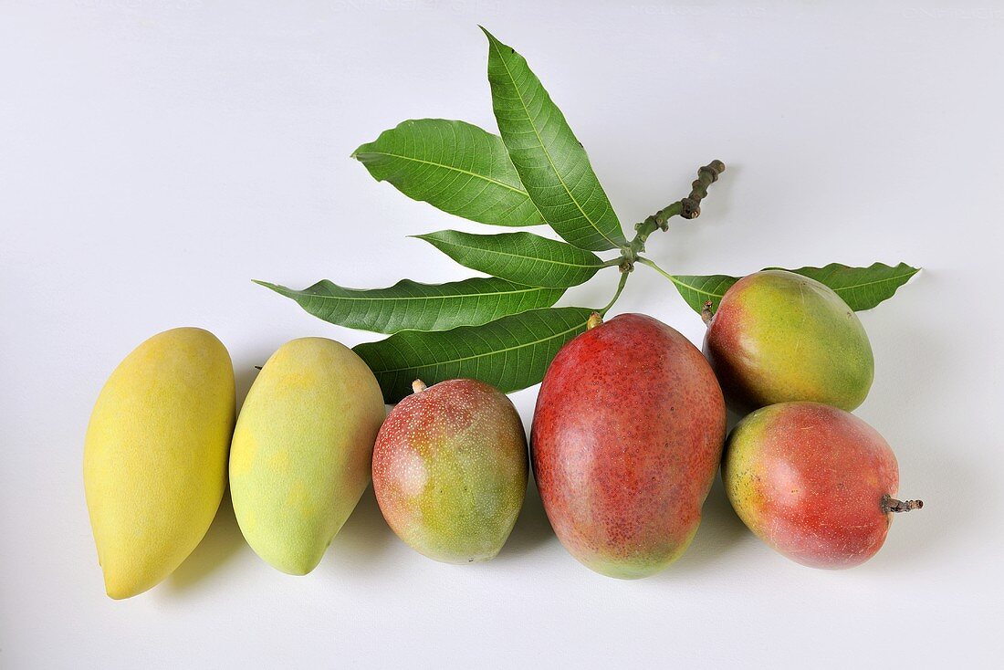 Verschiedene Mangos