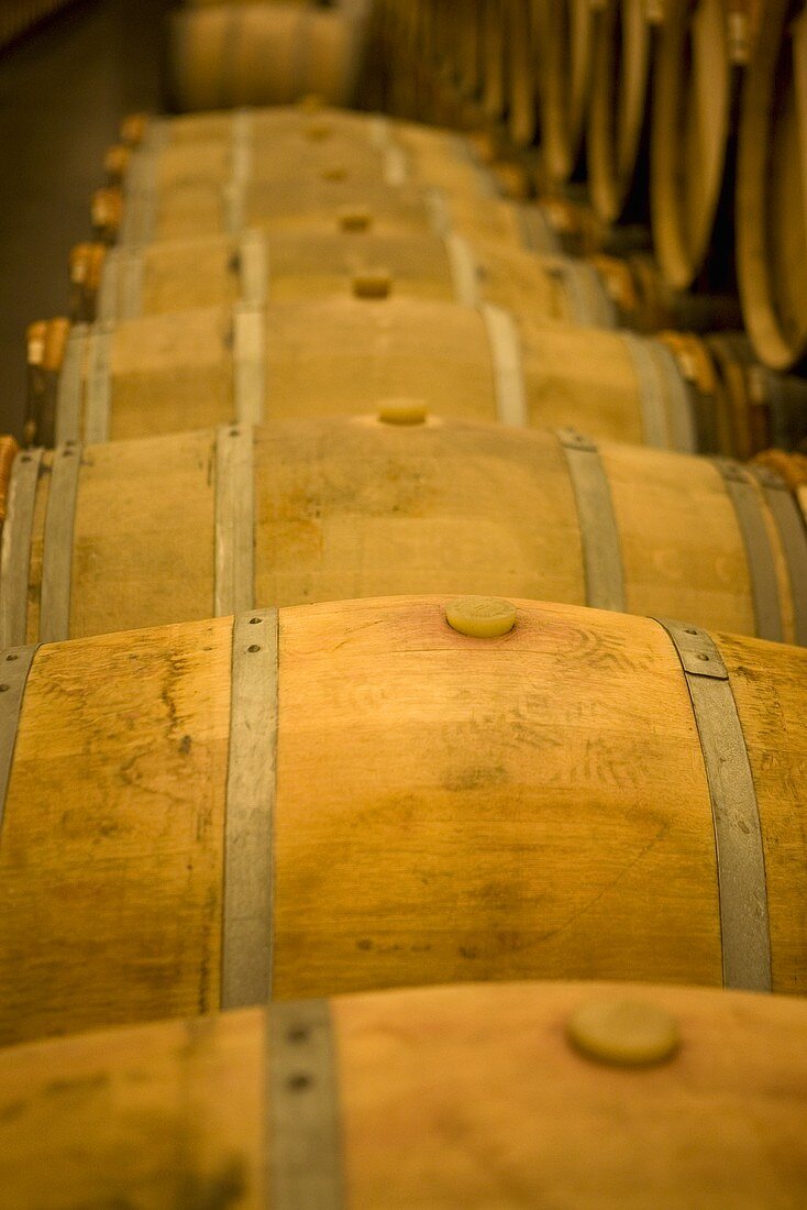 Wooden barrels in a wine cellar (Chateau Lynch-Bages, Frankreich)