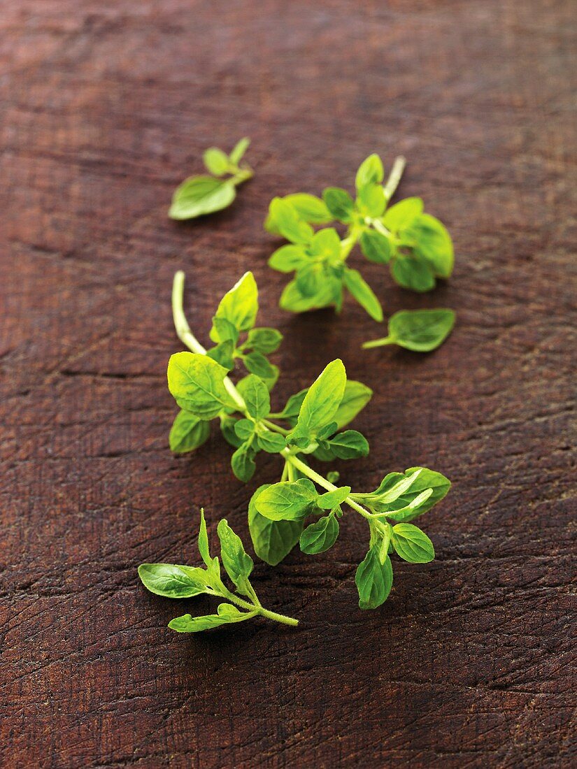 Frischer Oregano auf Holzuntergrund