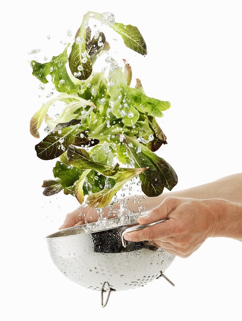 Salatblätter waschen