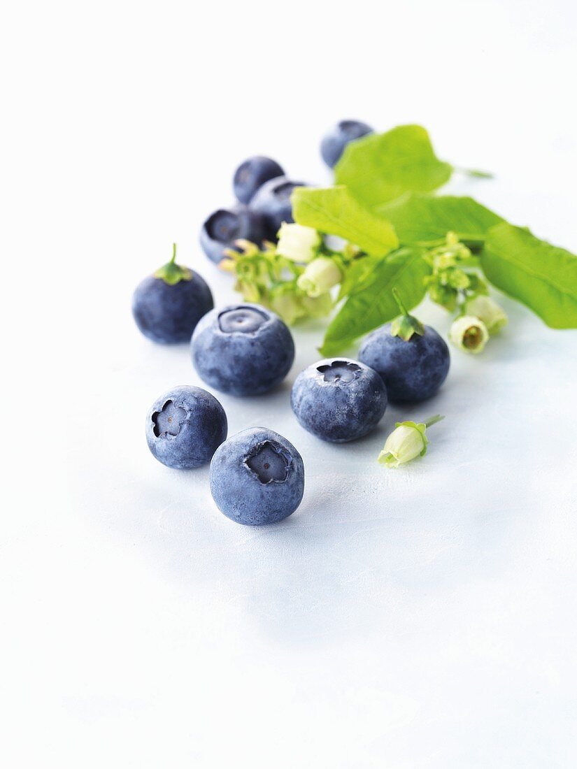 Heidelbeeren mit Blüten und Blättern