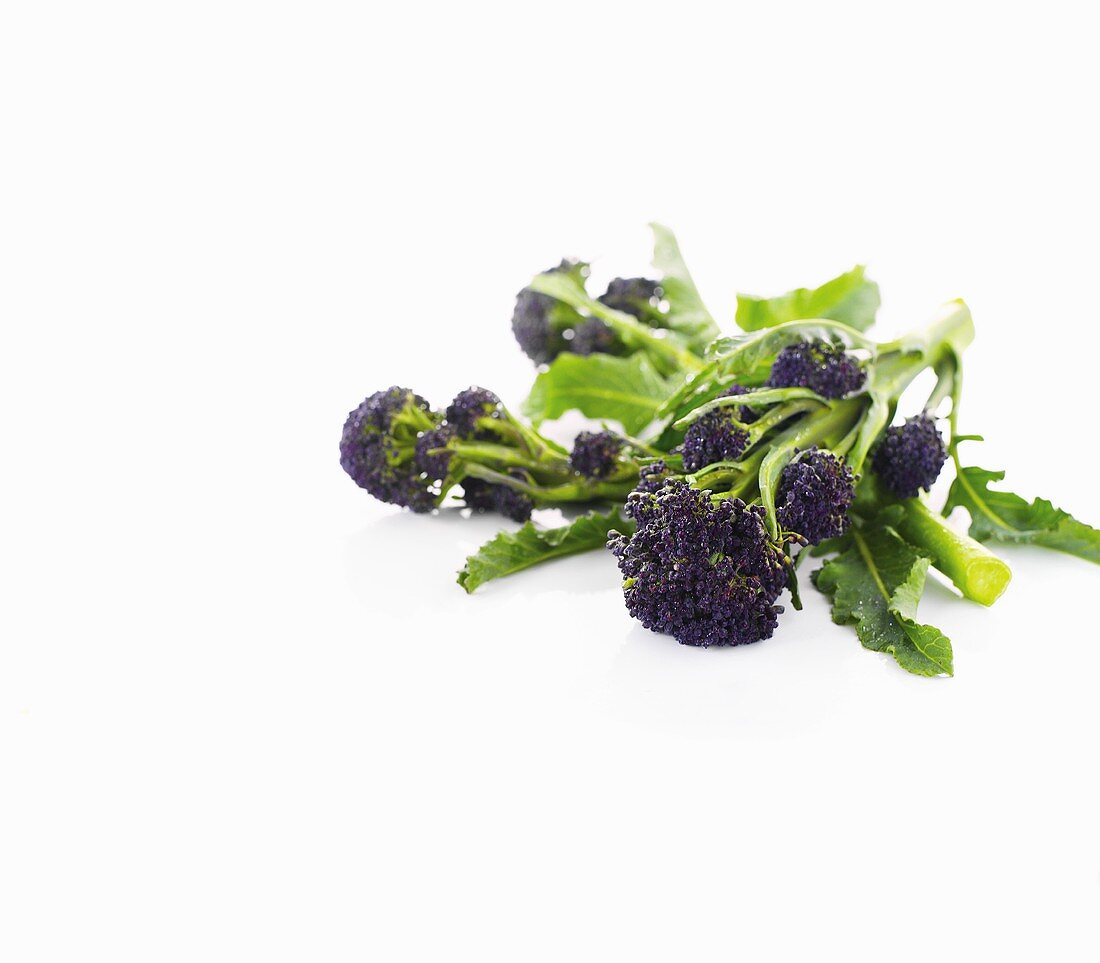 Purple sprouting broccoli