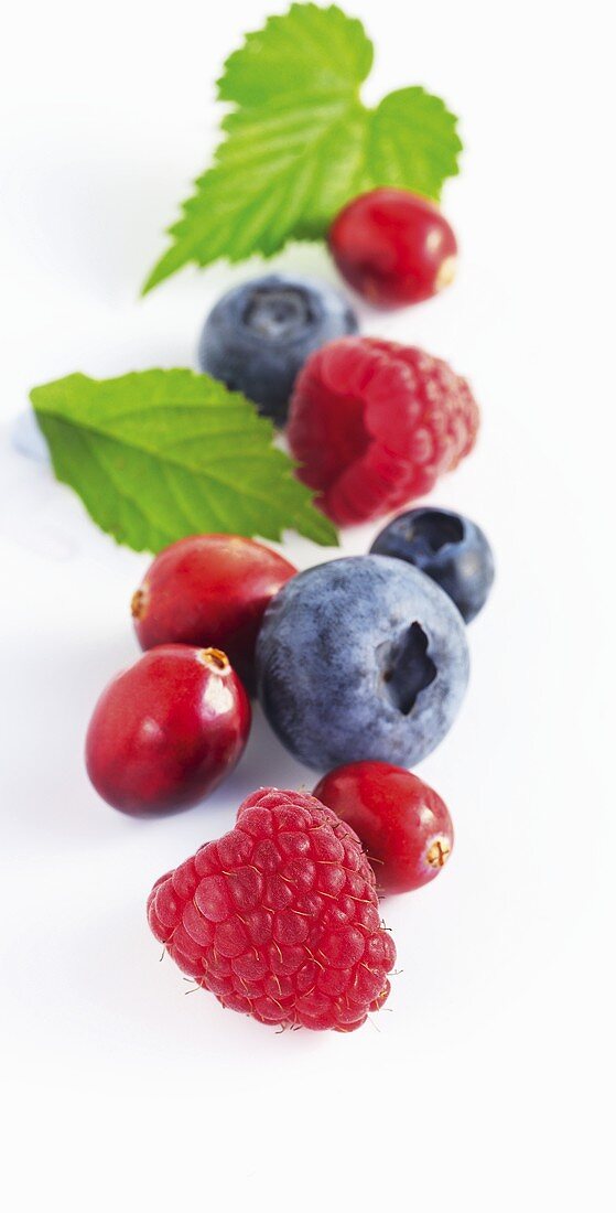 Himbeeren, Heidelbeeren und Cranberries mit Blättern