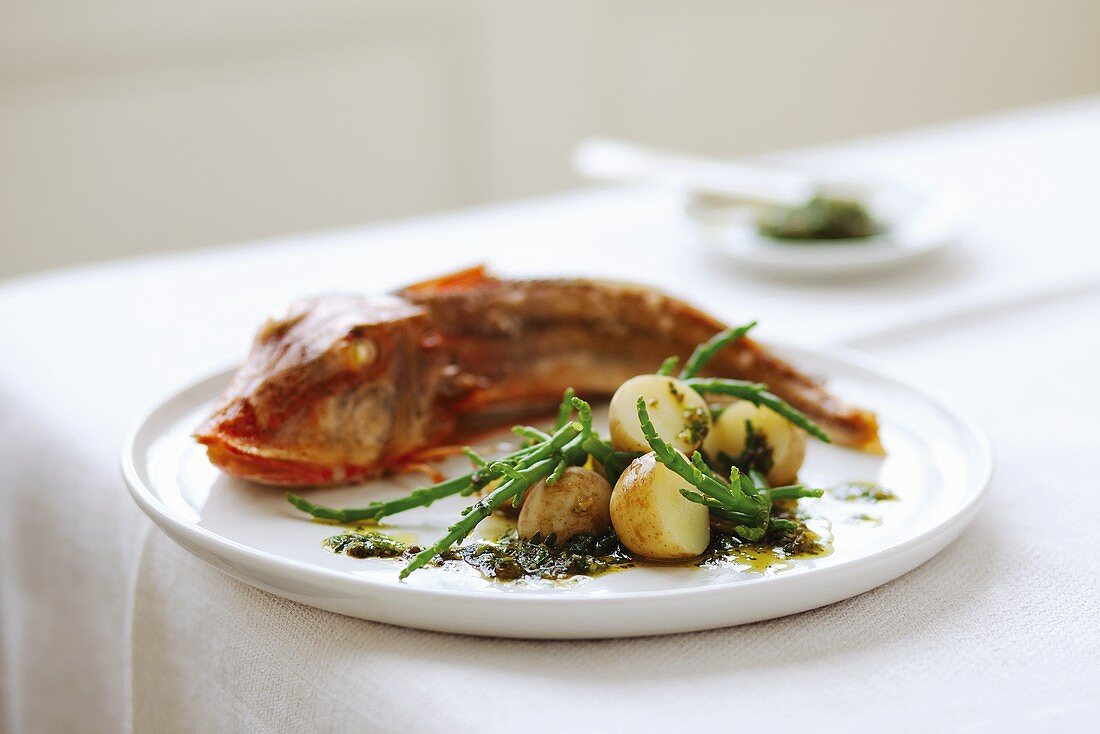 Gurnard with potatoes and glasswort