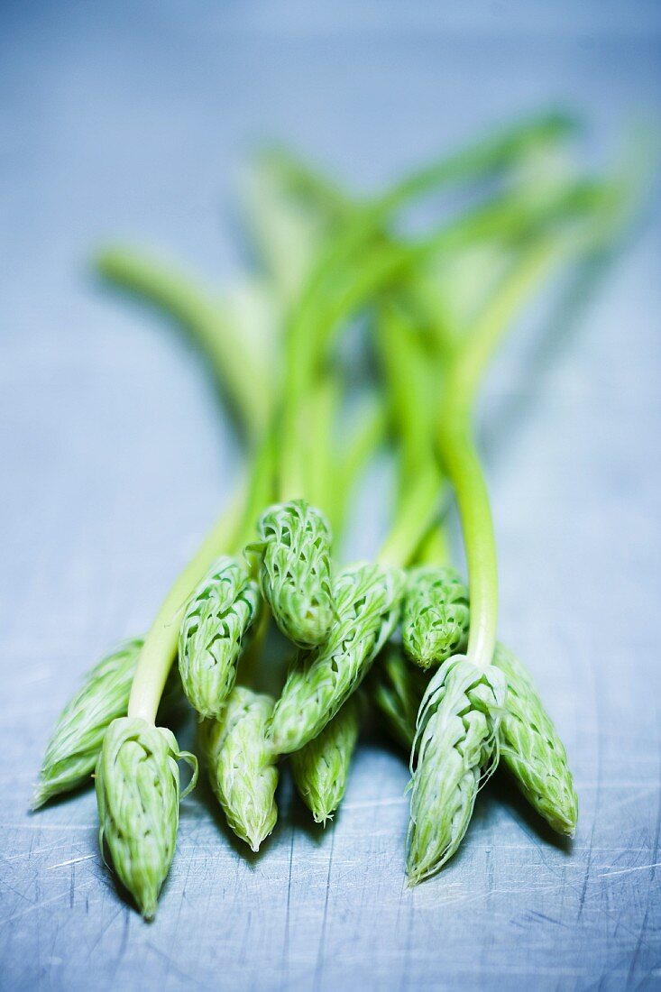 Green wild asparagus