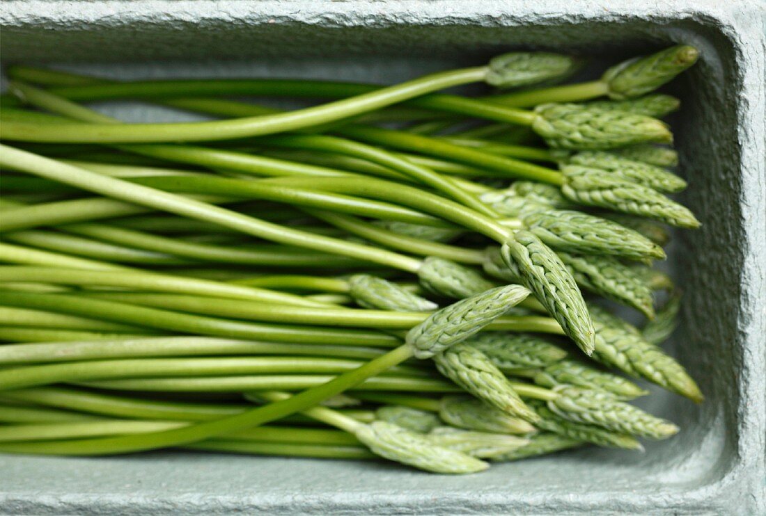 Green wild asparagus in a cardboard carton