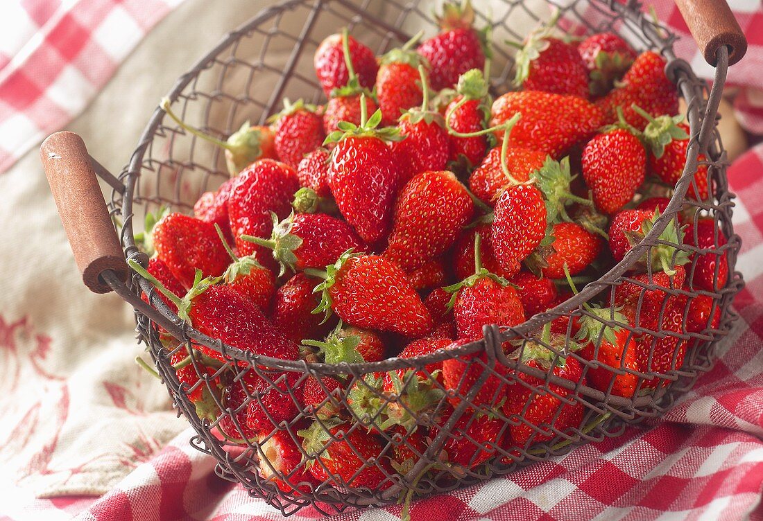 Drahtkorb mit frischen Erdbeeren