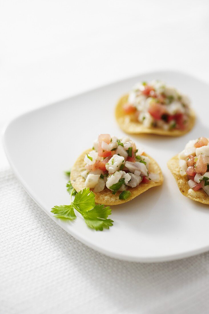 Tilapia Ceviche on Corn Chips on a White Plate