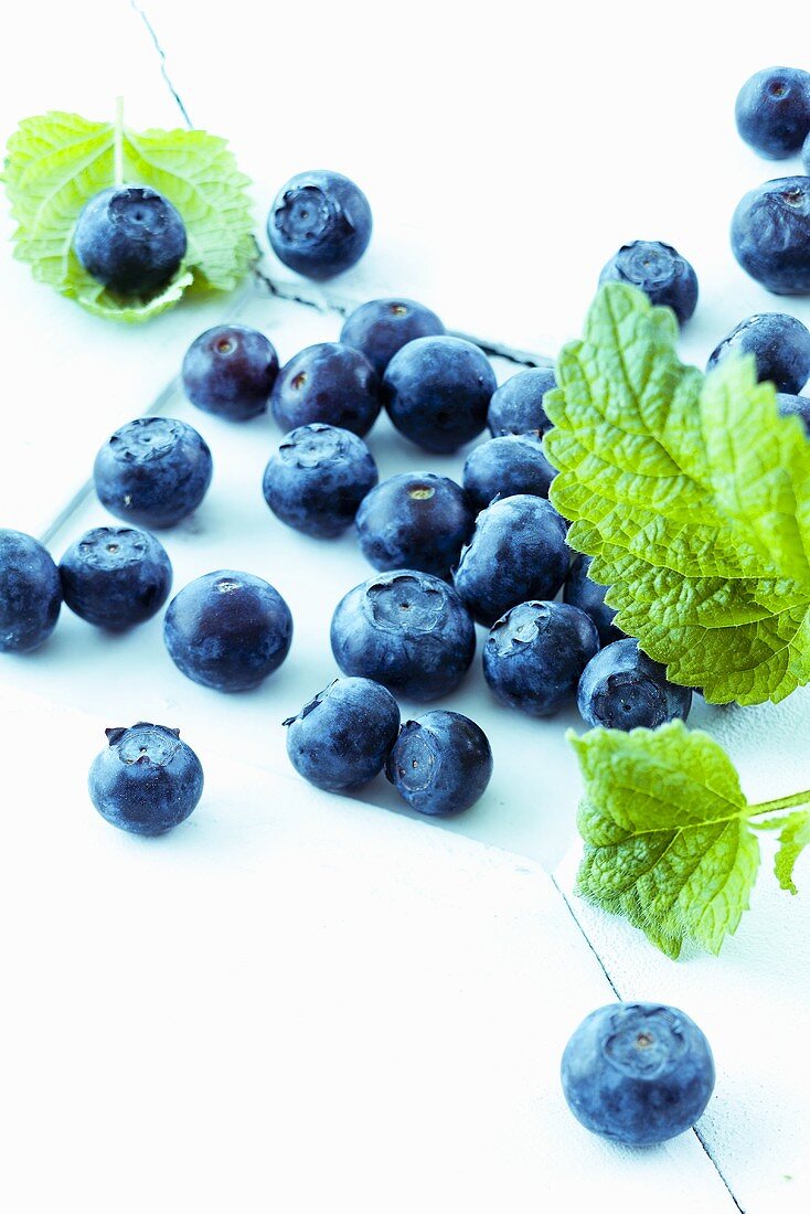 Heidelbeeren mit Blättern