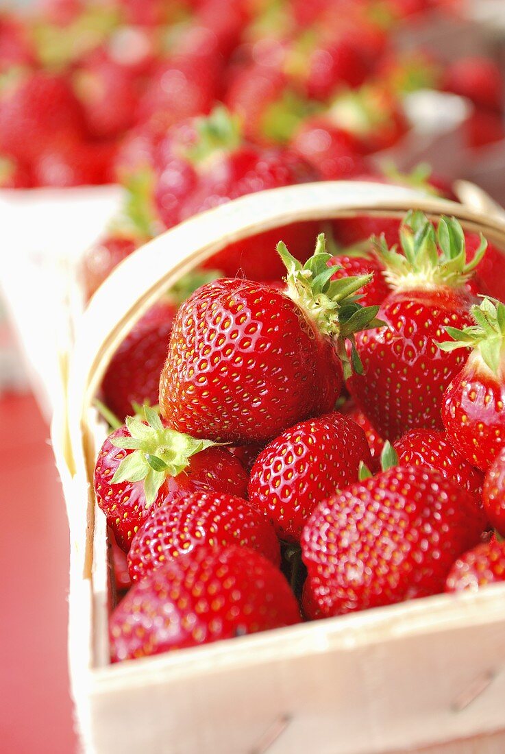 Pint of Strawberries