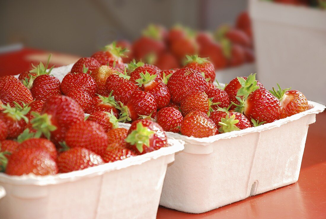 Strawberries in cardboard boxes