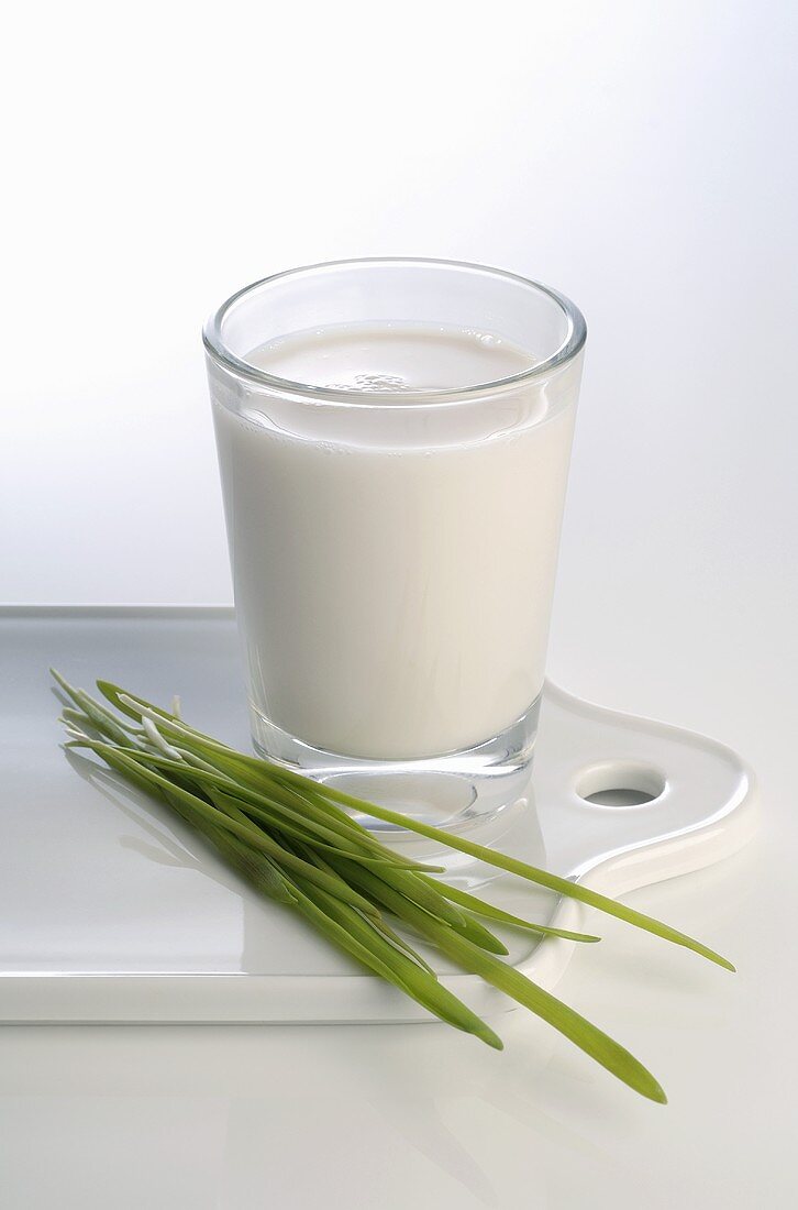 Glass of grain milk and wheatgrass