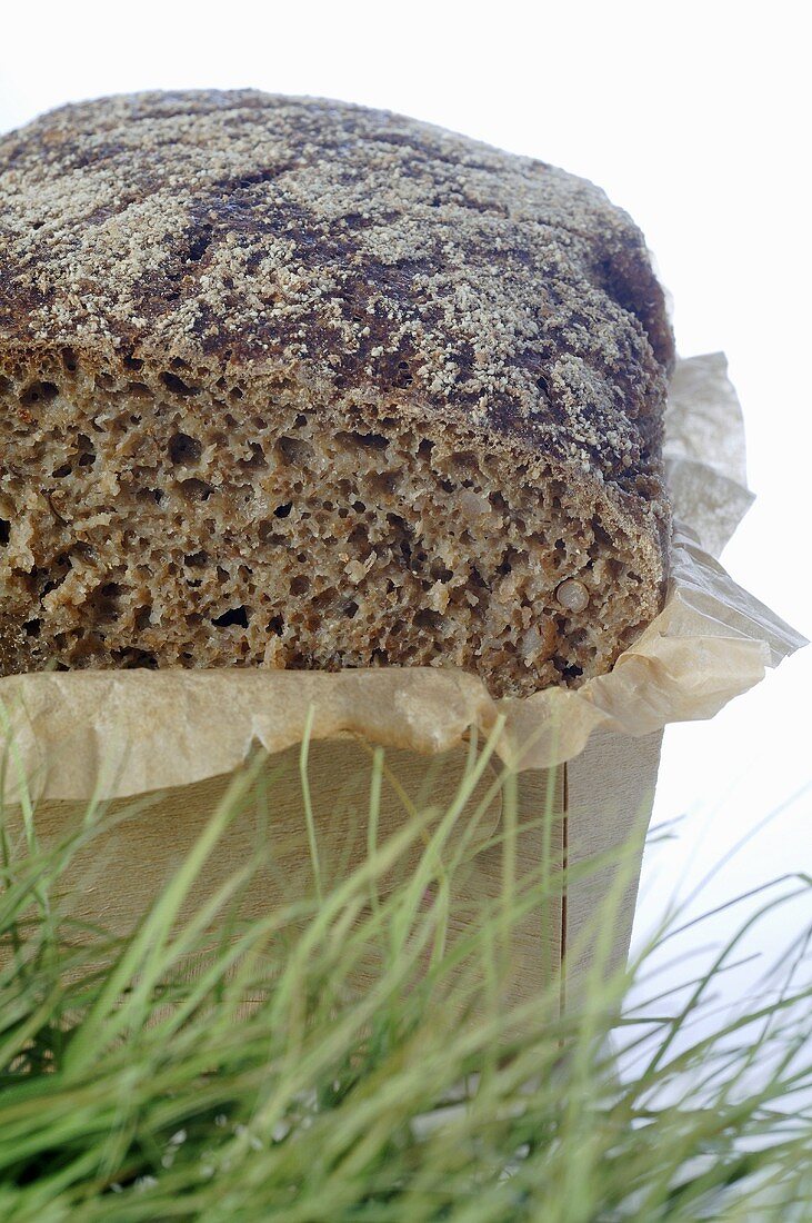 Wholegrain bread in cardboard box, grass in foreground