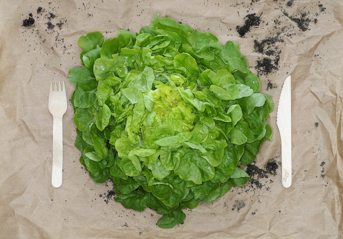 Lettuce on paper with knife and fork
