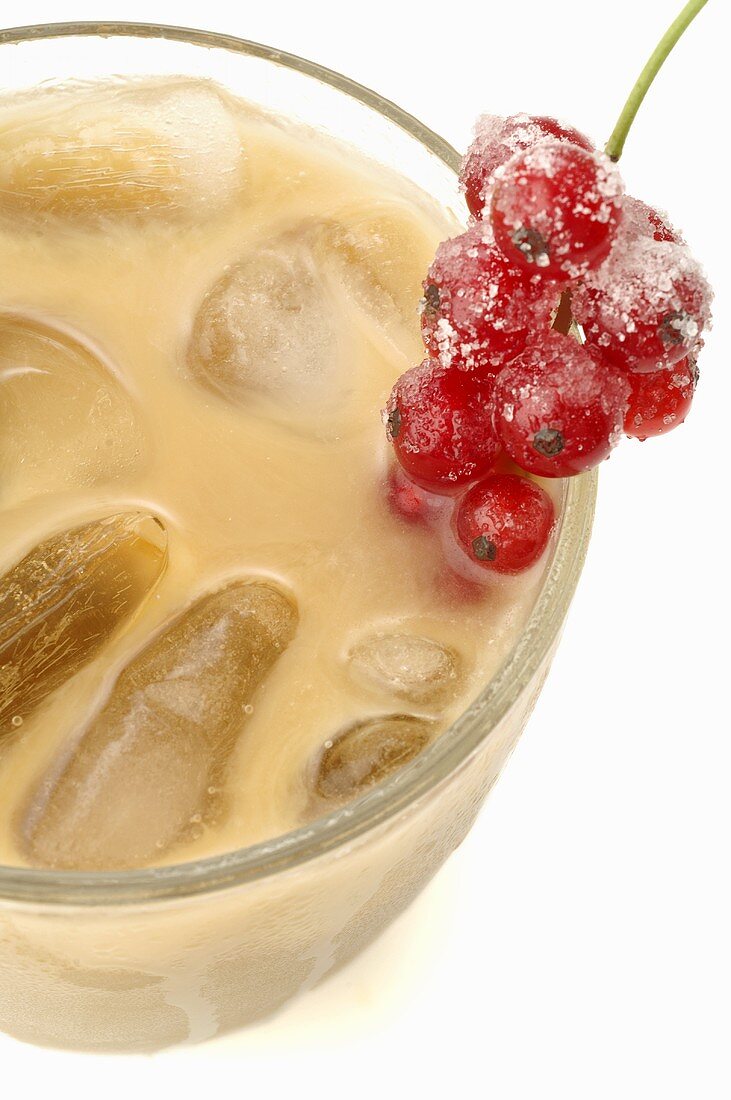 Coco Sour with ice cubes and redcurrants